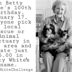 #BettyWhiteChallenge Fox21
