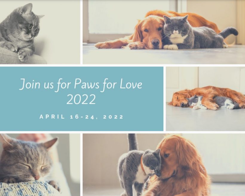 Paws for Love 2022